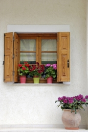 image-17