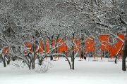 gates06