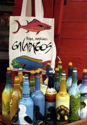 Galapagos Islands
